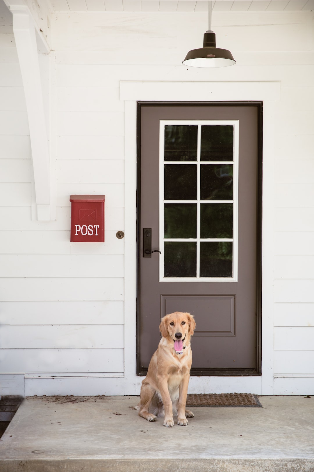 Pet Door installation